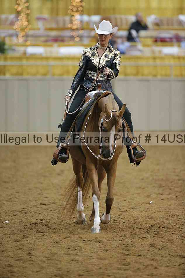 Proof 14usn_09609