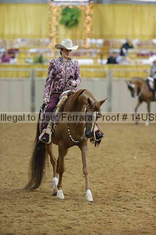 Proof 14usn_09613
