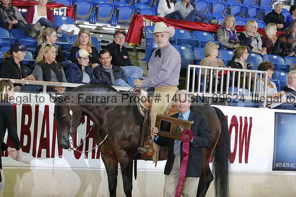 Proof 14usn_09624