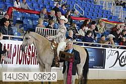 14usn_09629 proof