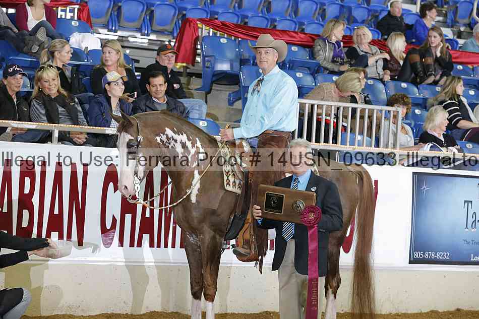 Proof 14usn_09633