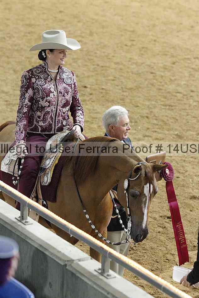 Proof 14usn_09639