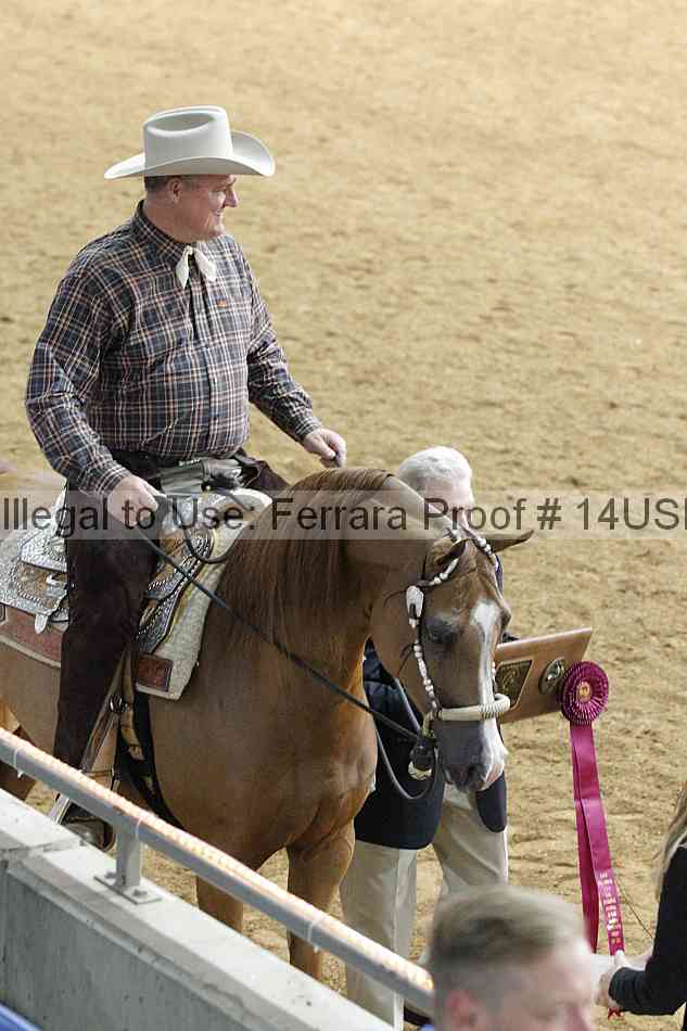 Proof 14usn_09641