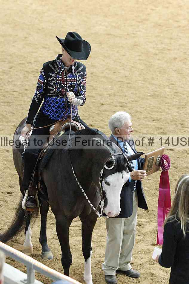 Proof 14usn_09648