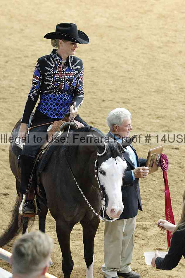 Proof 14usn_09650