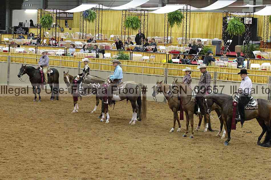 Proof 14usn_09657