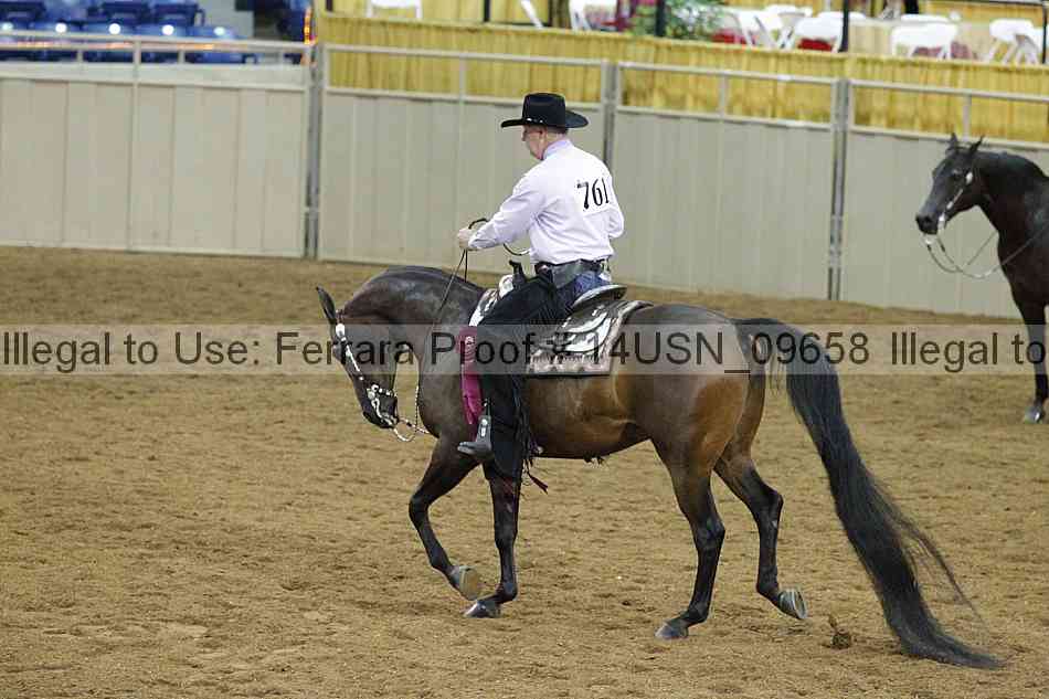 Proof 14usn_09658