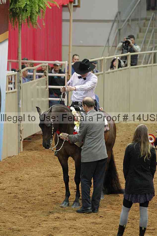 Proof 14usn_09662