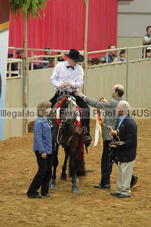 Proof 14usn_09668