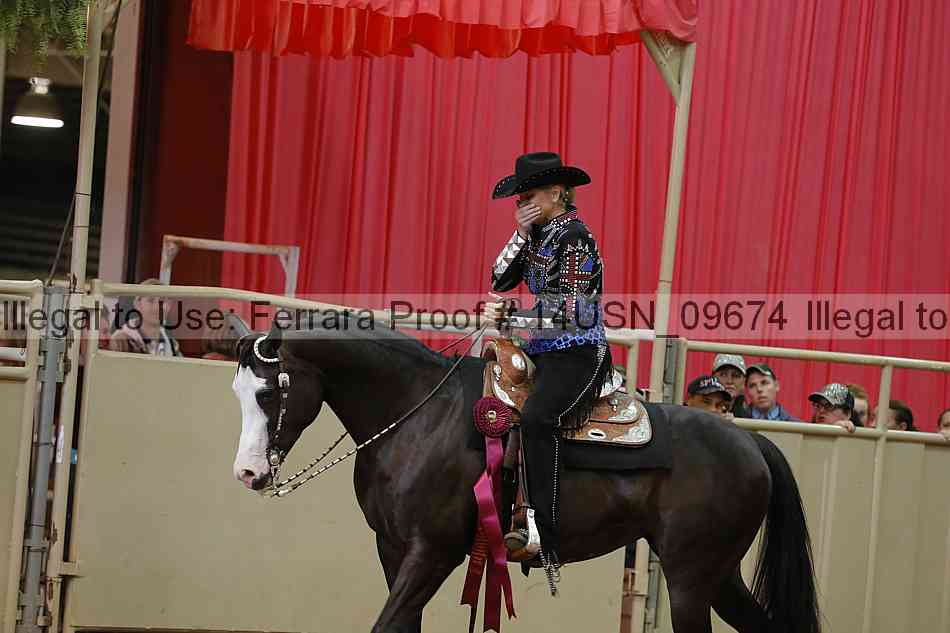 Proof 14usn_09674