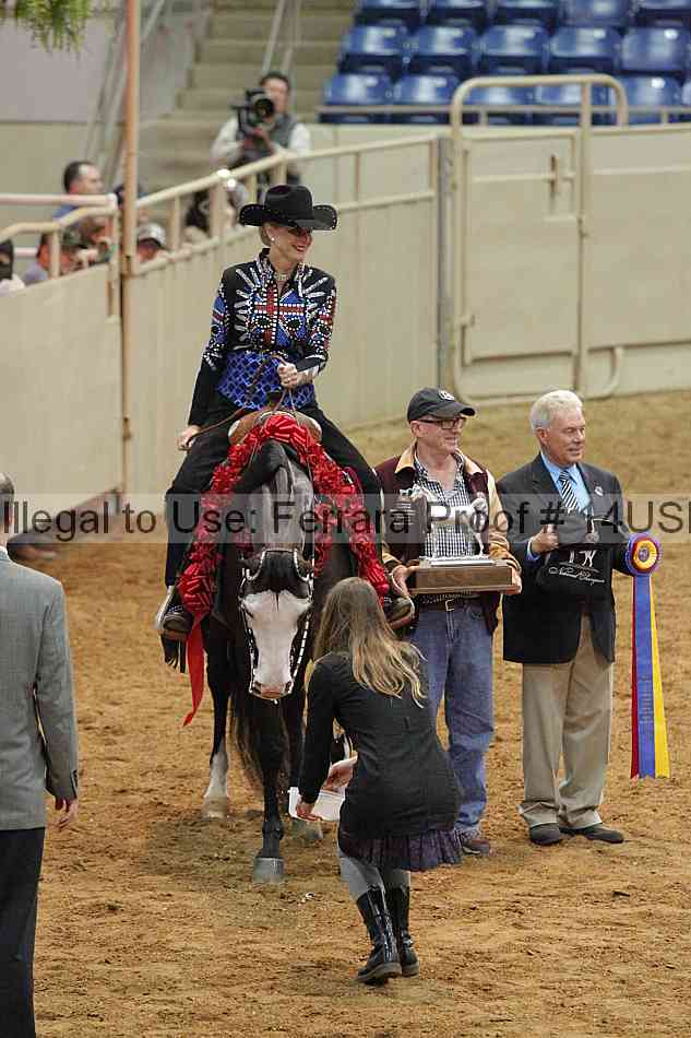 Proof 14usn_09683