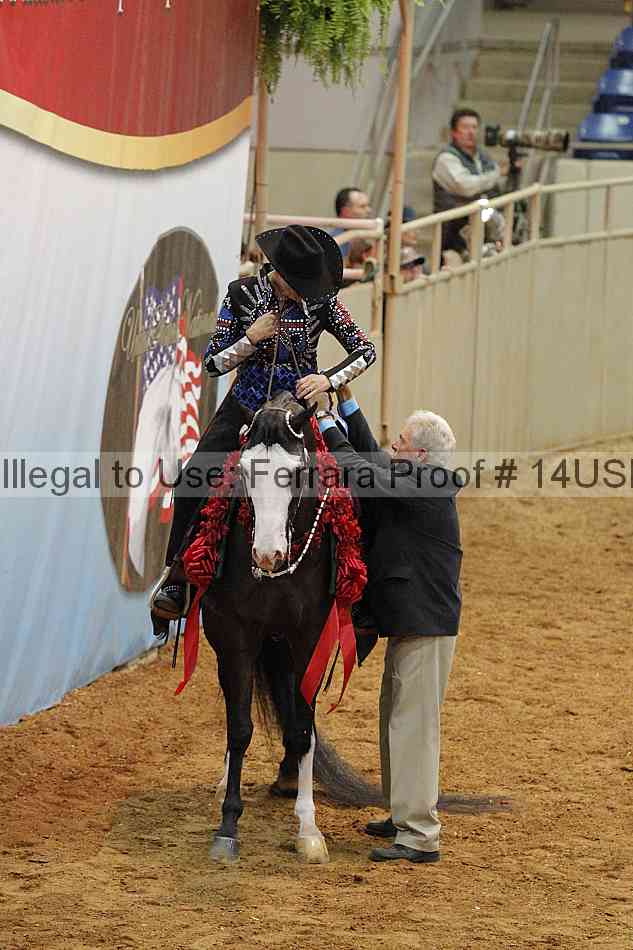 Proof 14usn_09685