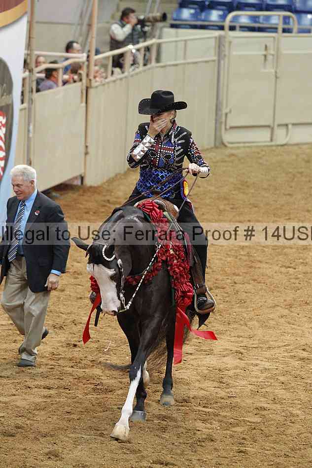 Proof 14usn_09686