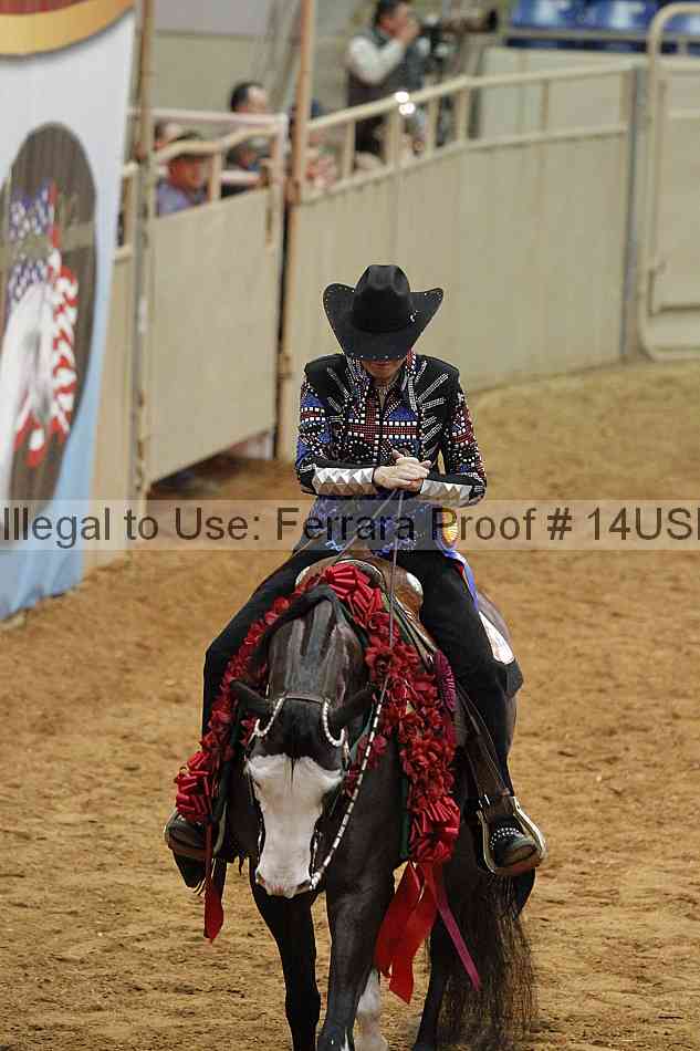 Proof 14usn_09688