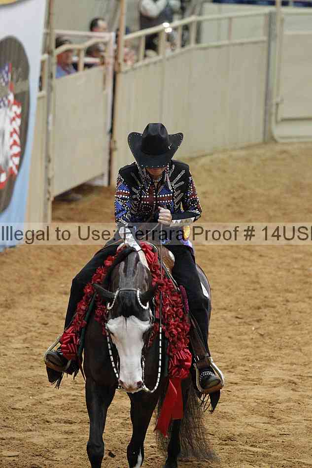 Proof 14usn_09689