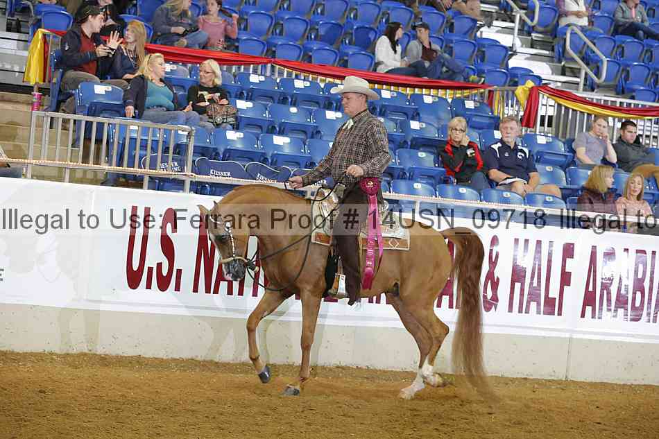 Proof 14usn_09718