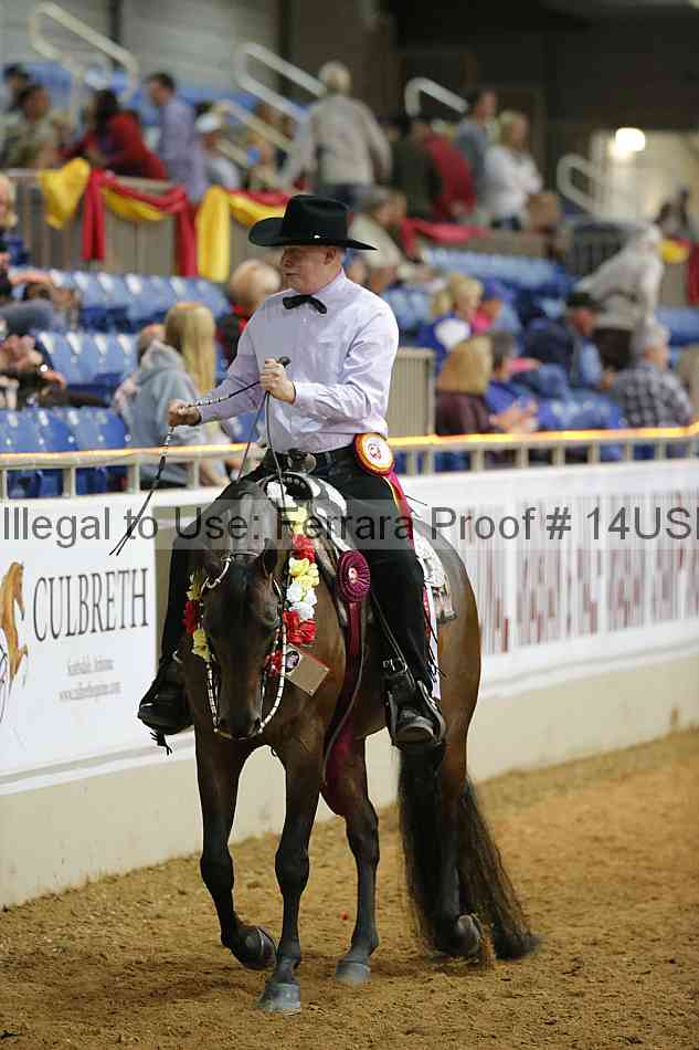 Proof 14usn_09741
