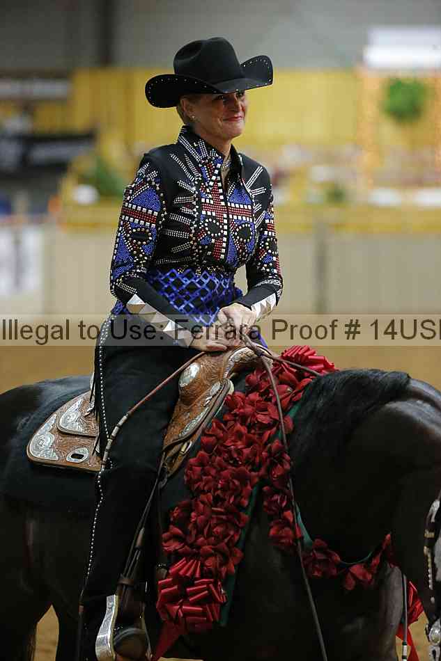 Proof 14usn_09761