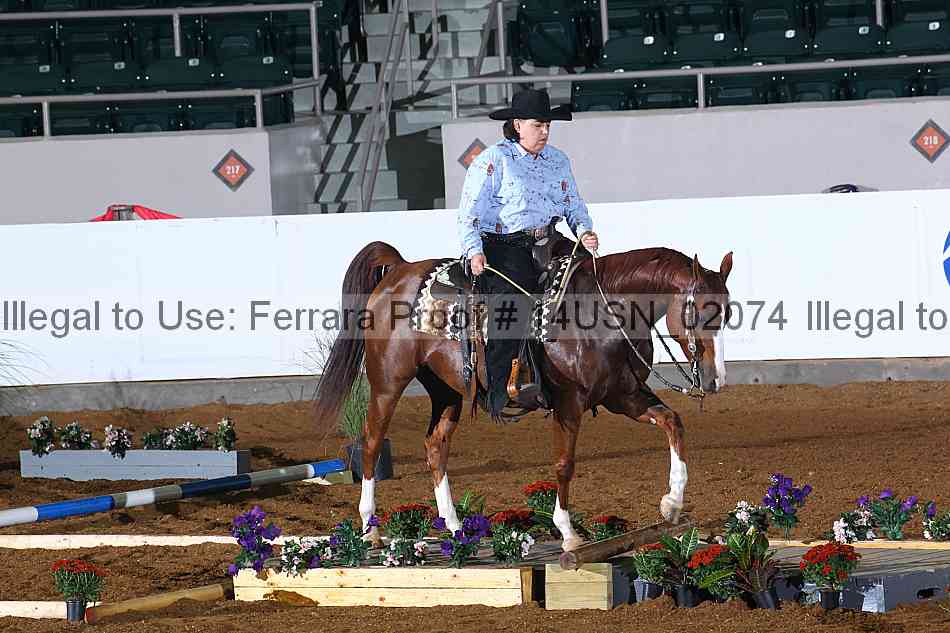 Proof 14usn_02074