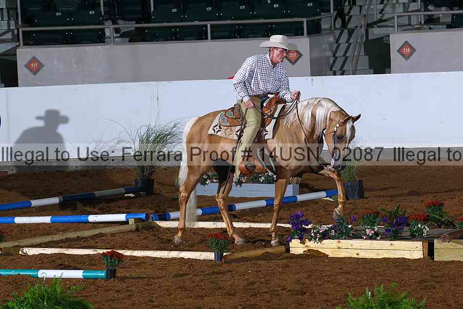 Proof 14usn_02087