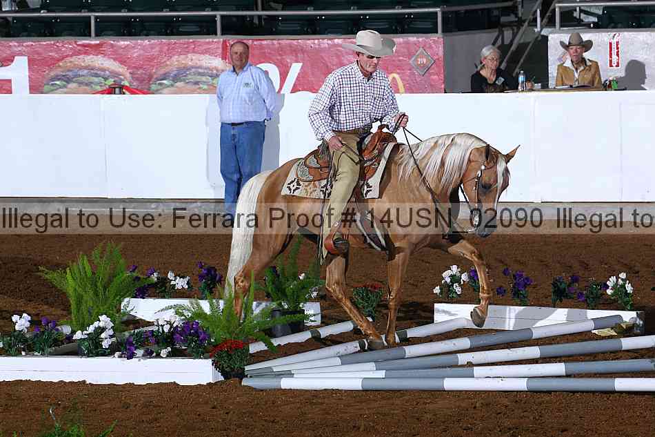 Proof 14usn_02090