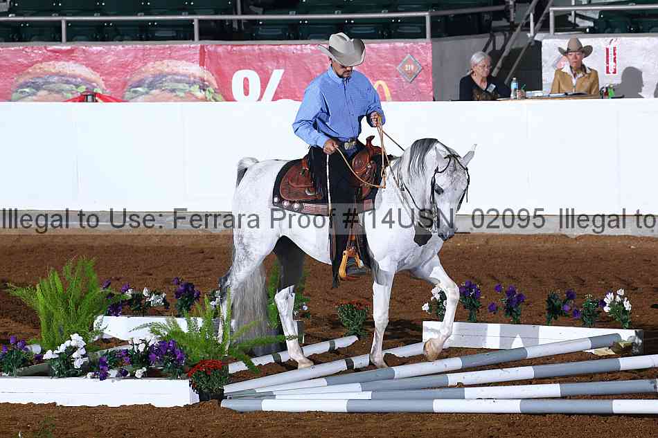 Proof 14usn_02095