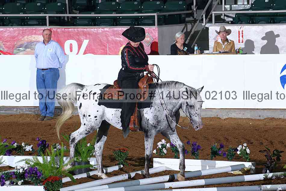 Proof 14usn_02103