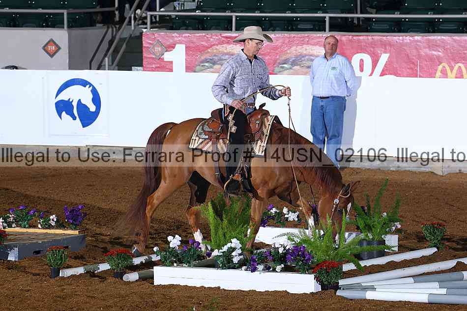 Proof 14usn_02106