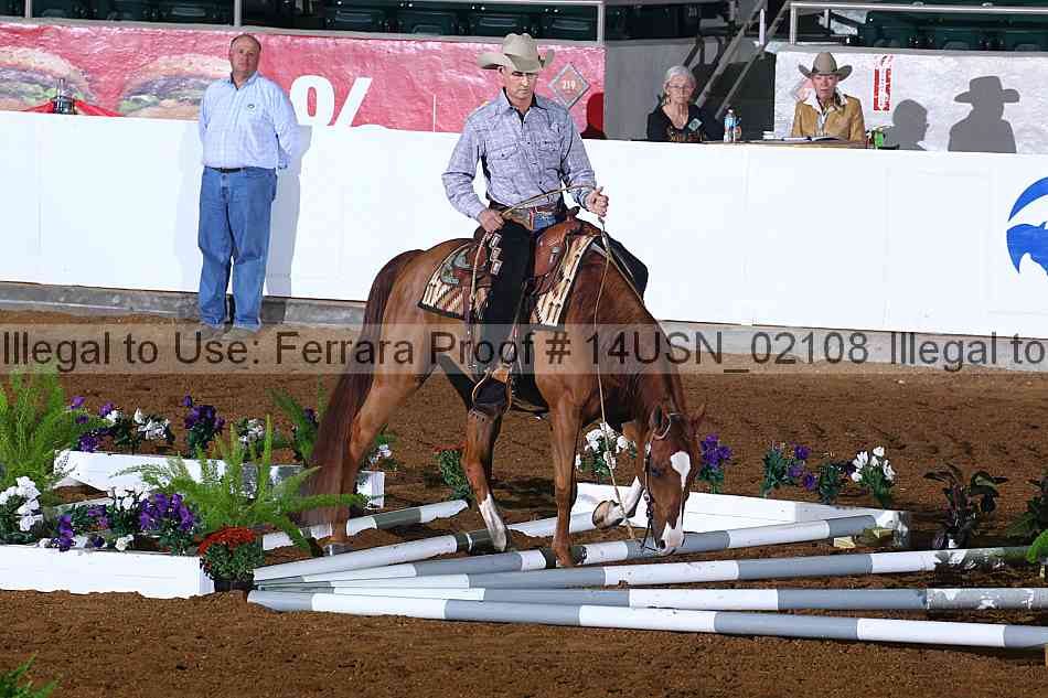 Proof 14usn_02108