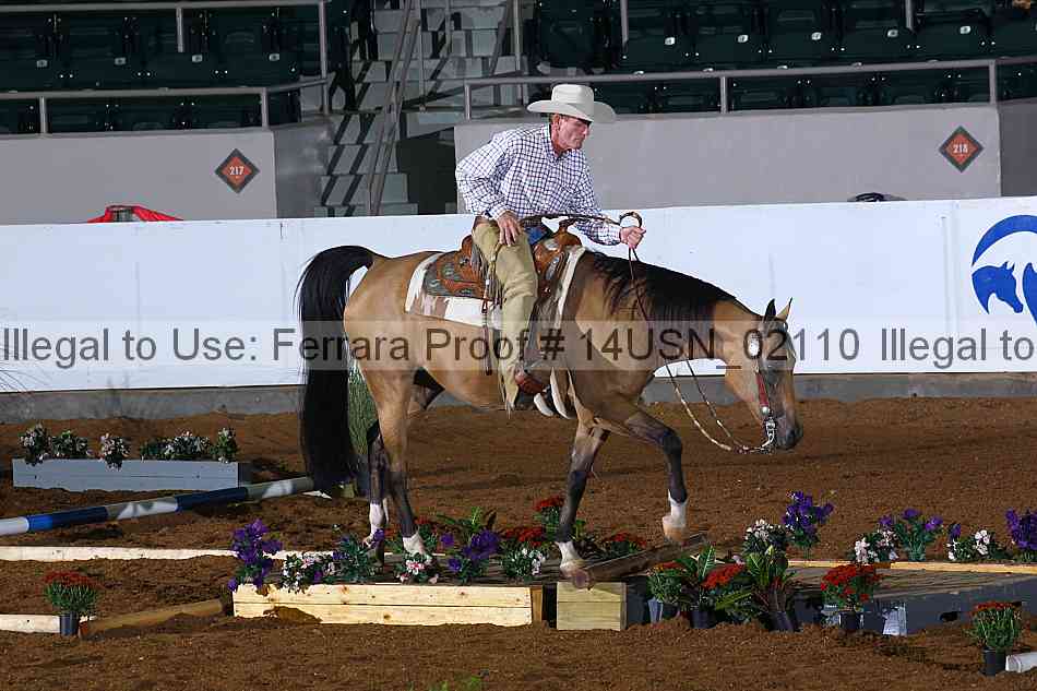 Proof 14usn_02110