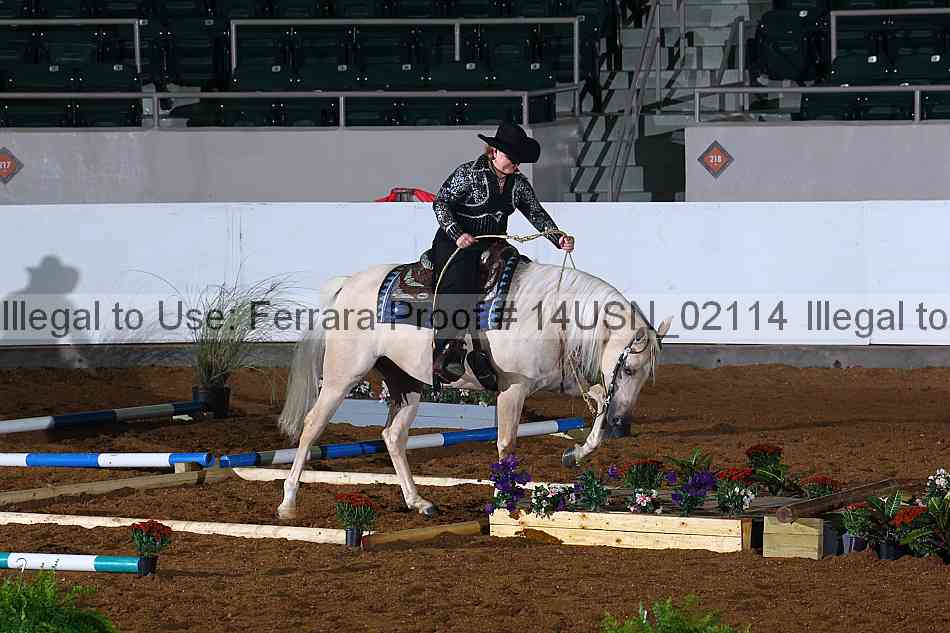 Proof 14usn_02114