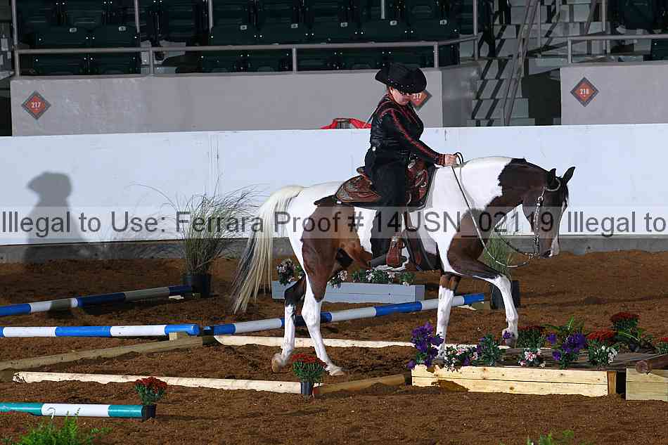 Proof 14usn_02119