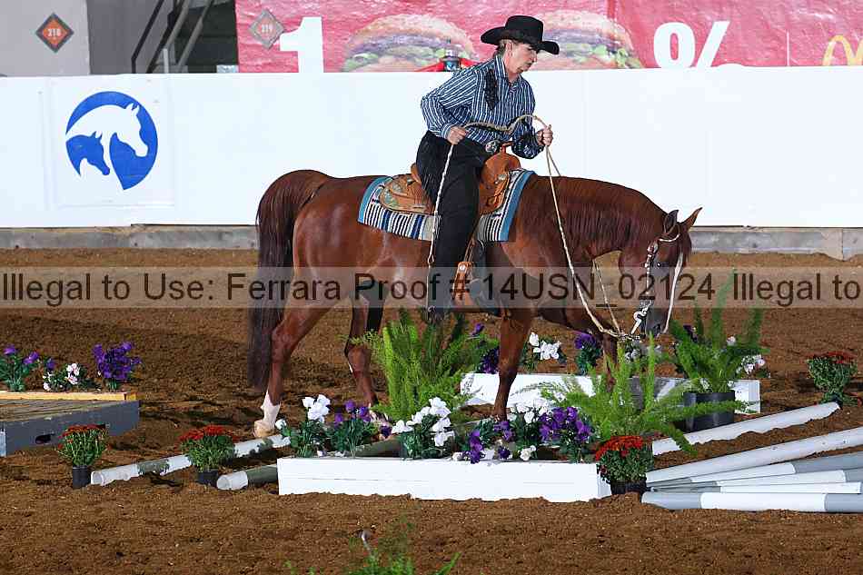 Proof 14usn_02124