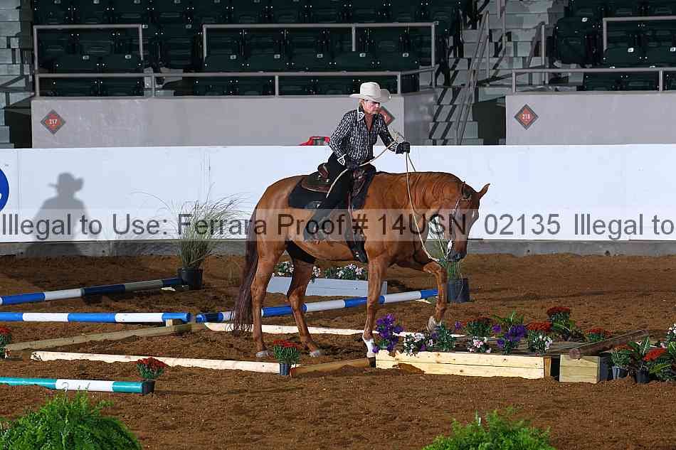 Proof 14usn_02135