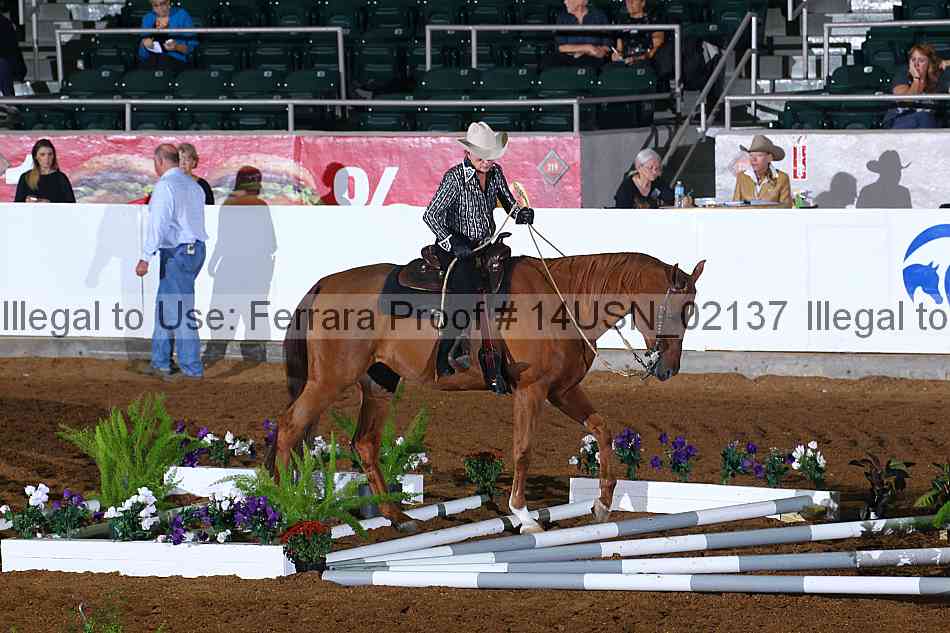 Proof 14usn_02137