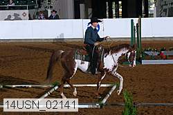 14usn_02141 proof
