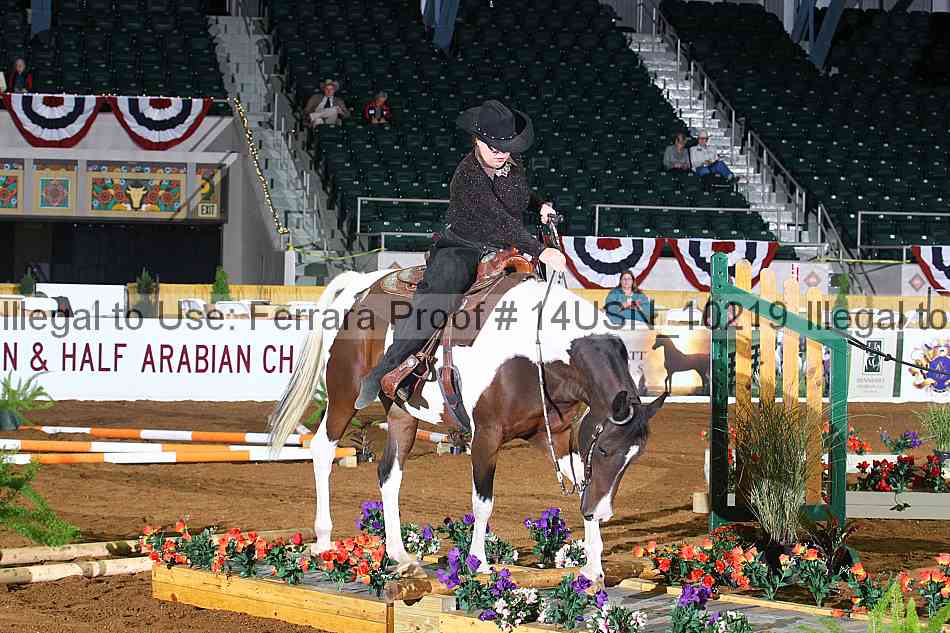 Proof 14usn_10219