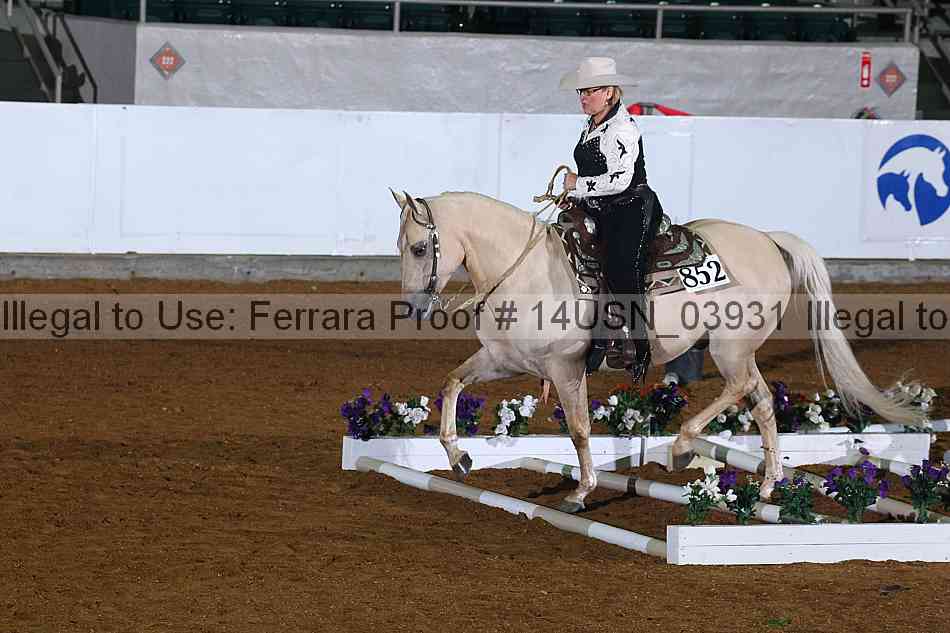 Proof 14usn_03931