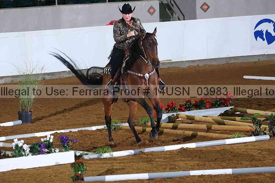 Proof 14usn_03983