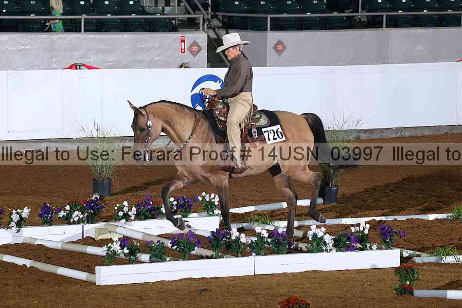 Proof 14usn_03997