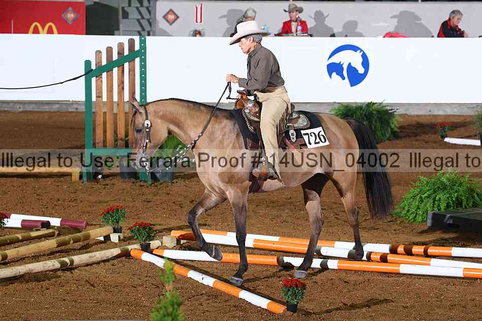Proof 14usn_04002