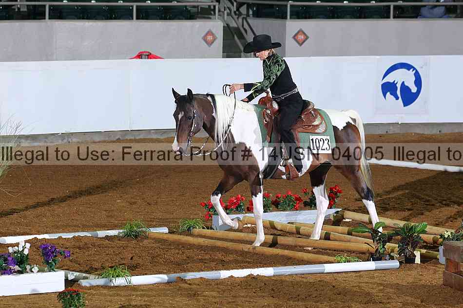Proof 14usn_04005