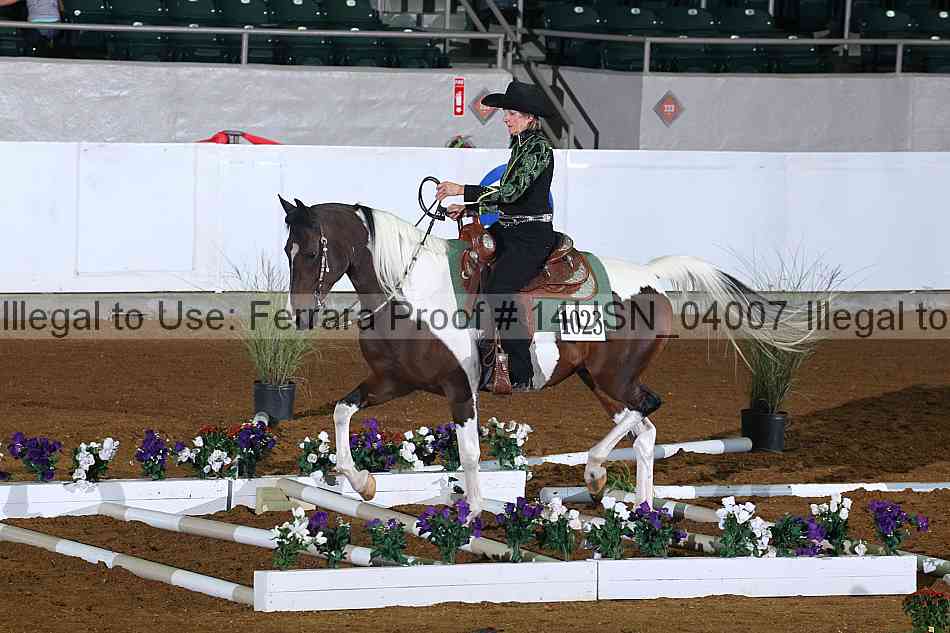 Proof 14usn_04007