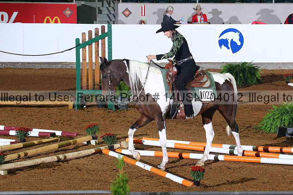 Proof 14usn_04012