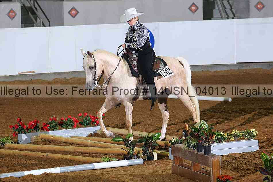 Proof 14usn_04013