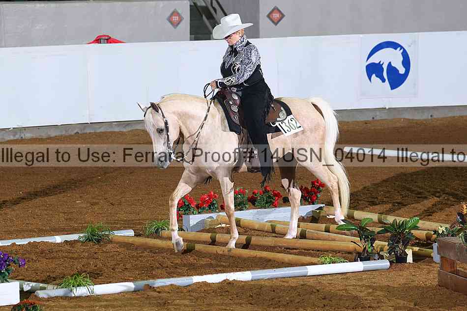 Proof 14usn_04014
