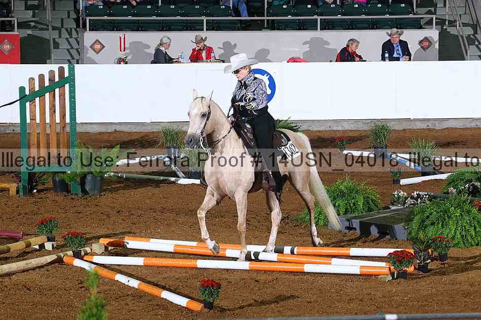 Proof 14usn_04018