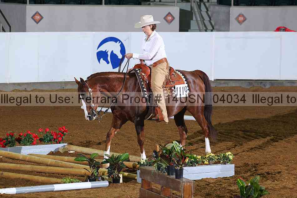 Proof 14usn_04034
