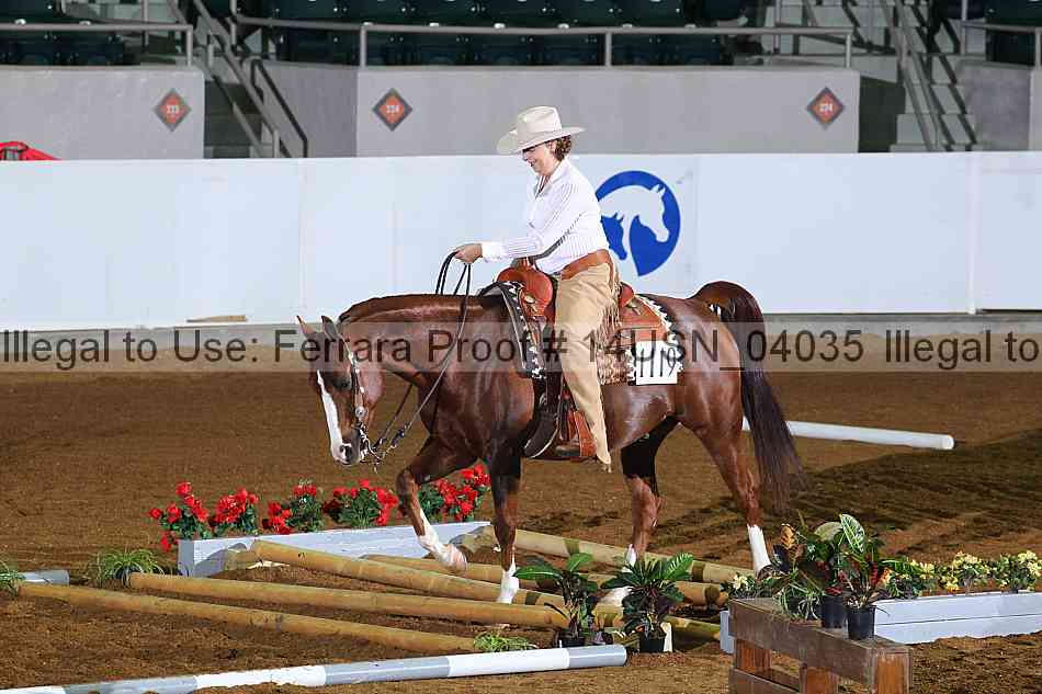 Proof 14usn_04035