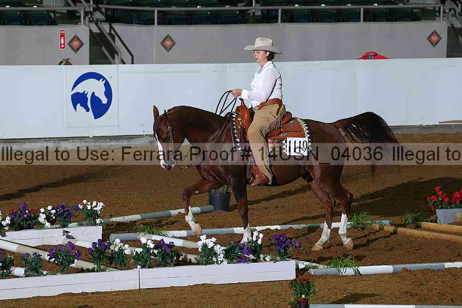 Proof 14usn_04036